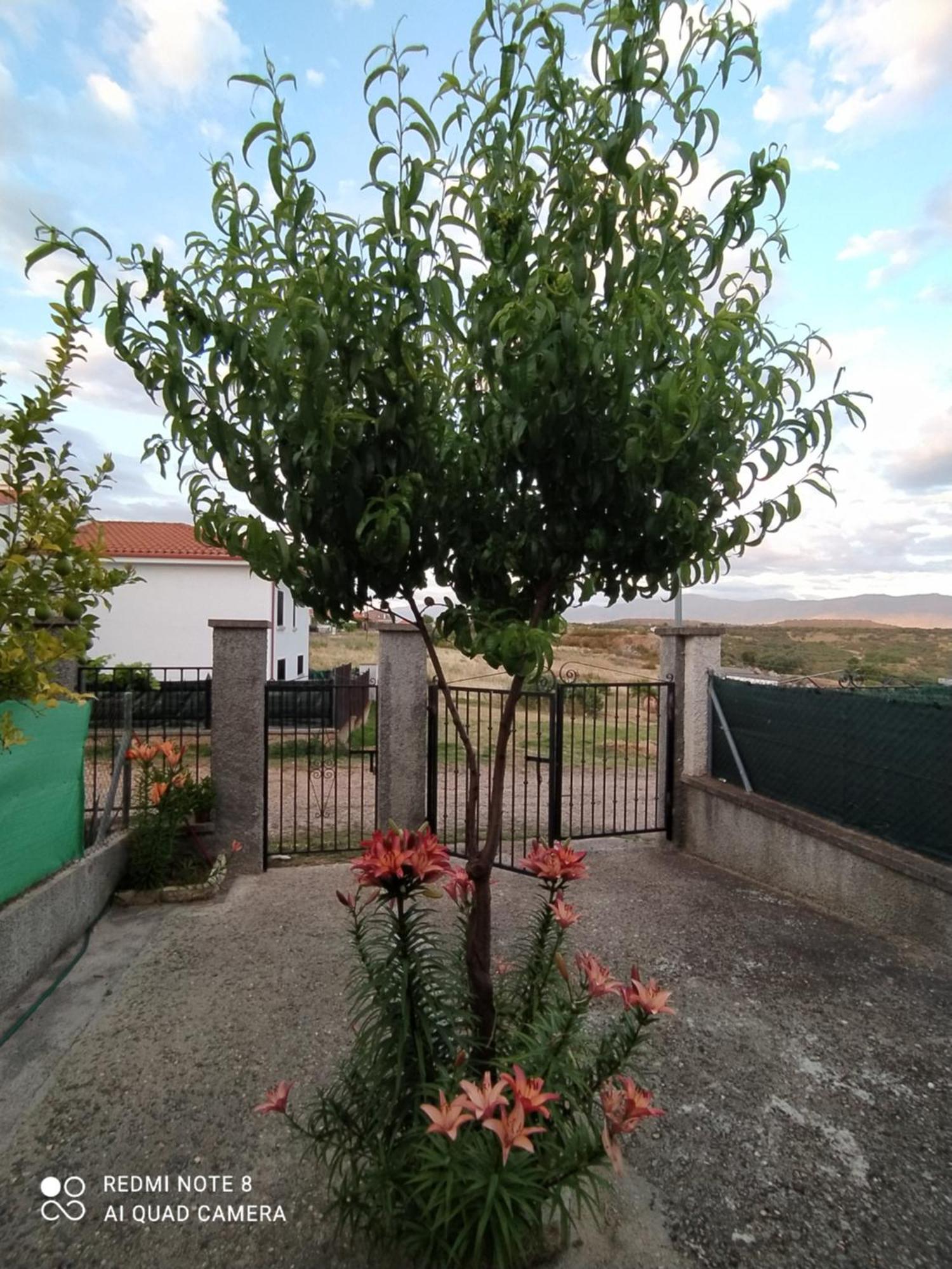 Apartamentos La Presa Guijo de Granadilla Exterior foto